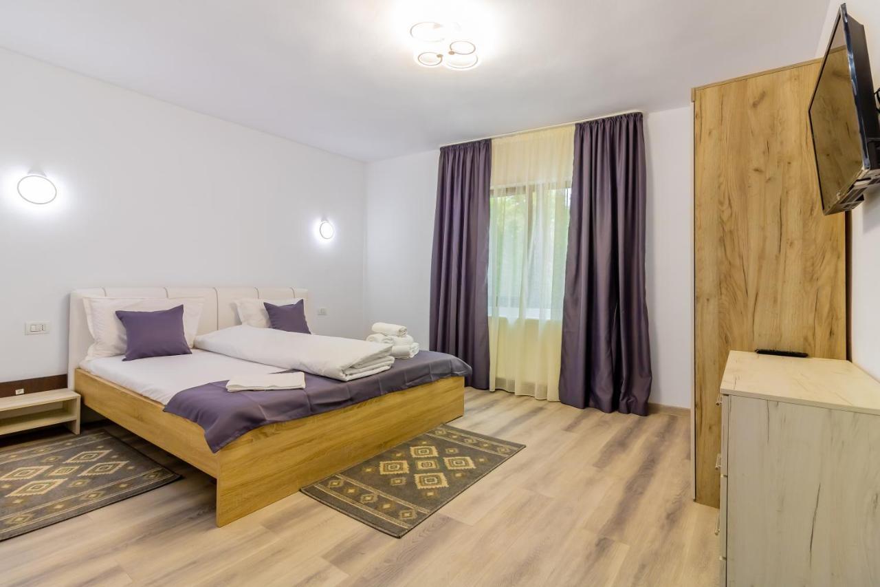 Hotel Pensiunea D & Ylan Novaci-Străini Esterno foto