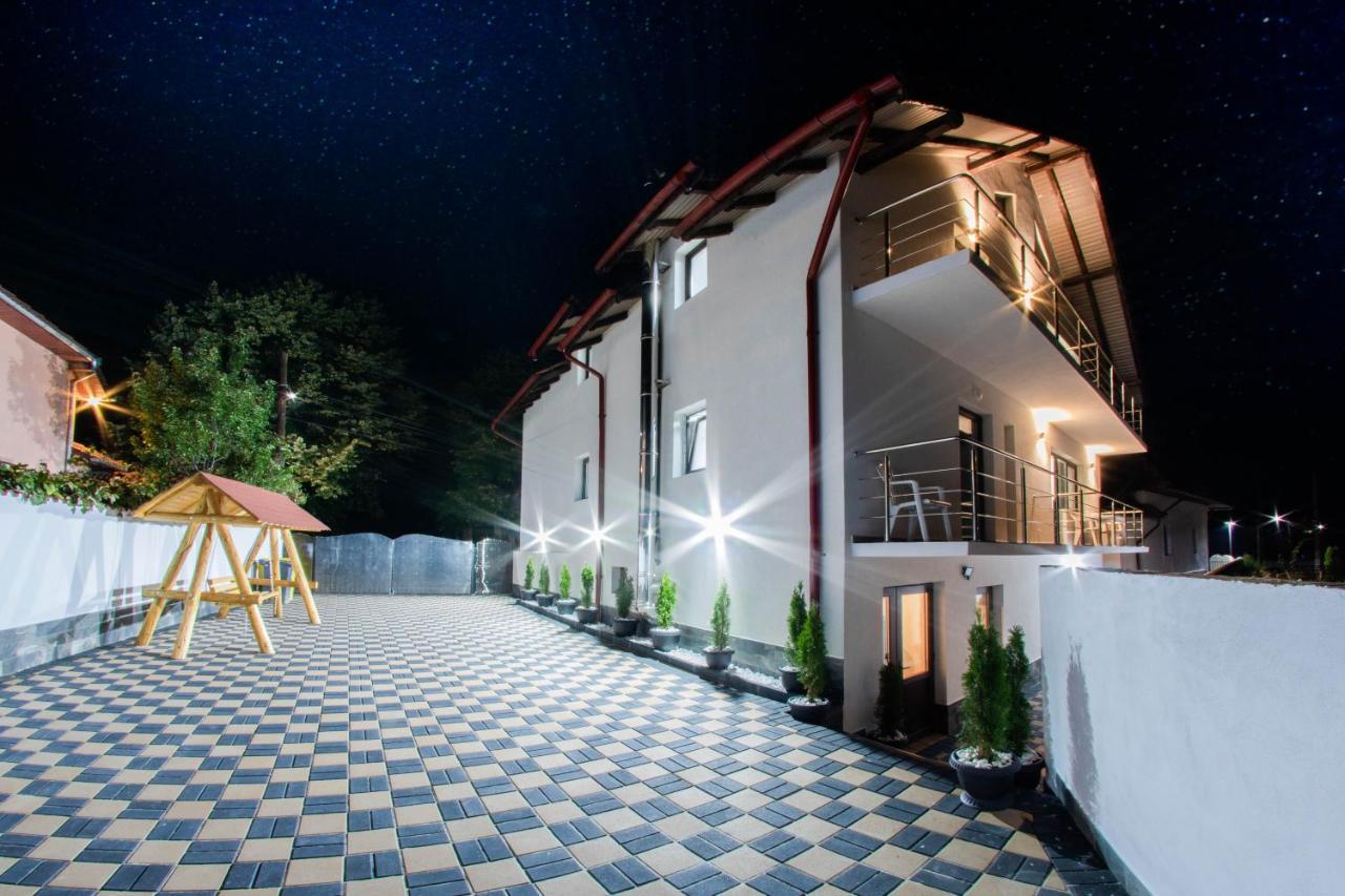 Hotel Pensiunea D & Ylan Novaci-Străini Esterno foto
