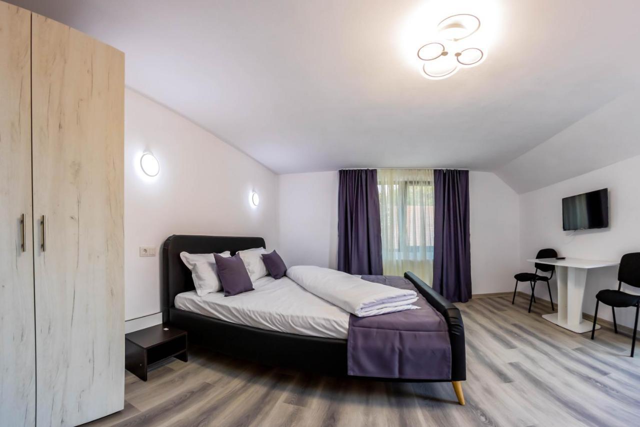 Hotel Pensiunea D & Ylan Novaci-Străini Esterno foto